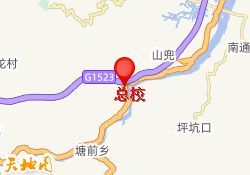 总校