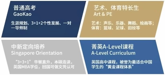 多元化发展路径.jpg