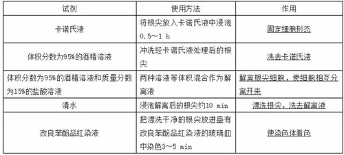 美华学校实验