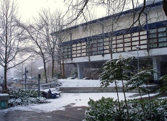 南威尔士大学