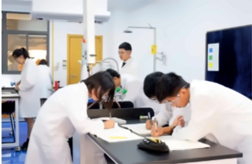 南京威雅学校