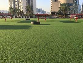 重庆学智堂教育