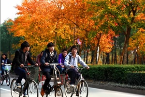 温州大学国际本科留学课程班招生简章
