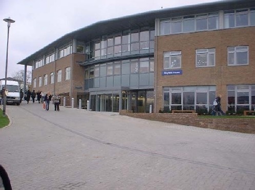 布莱顿大学