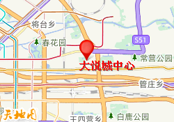 大悦城中心