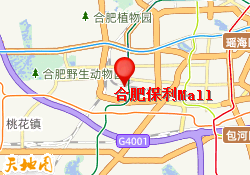 合肥保利Mall