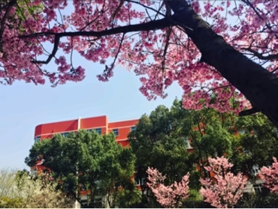 上海文绮汇点美高(日本方向)校园环境