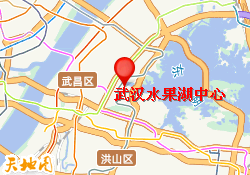 武汉水果湖中心