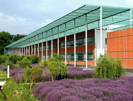 图卢兹大学