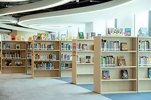 广州荔湾爱莎学校图书馆