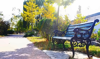学校环境