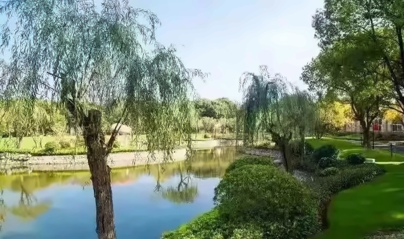 美华学校美国威睿达思国际课程中心.jpg