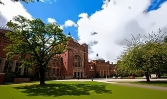 伯明翰大学