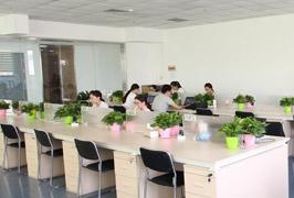 项目经理团队