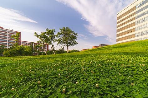麻省理工学院