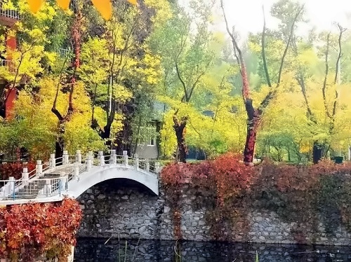 人工湖2.jpg