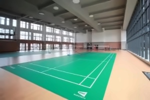 深圳市承翰学校信男日本名校班室内球场