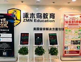 青岛啄木鸟教育