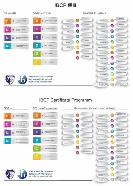 IBCP项目.jpg
