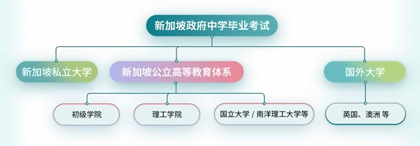 上海民办东鼎外国语学校新加坡高中课程升学通道.jpg