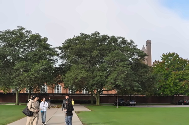 学校官方图片