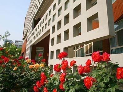 北京新英才国际学校
