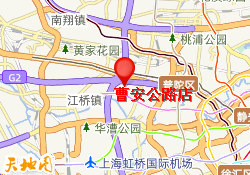 曹安公路店