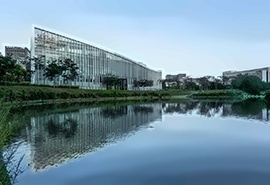 新加坡大学提升预科项目
