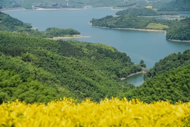 户外风景