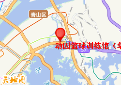 动因篮球训练馆（华侨城店）