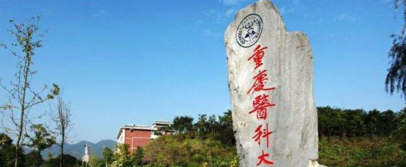 重庆医科大学是几本？是985和211吗？