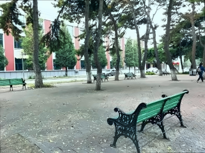 东北大学OSSD国际教育中心校园环境