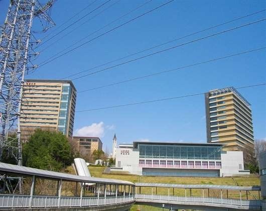 明星大学