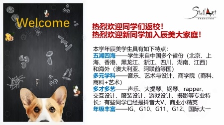 辰美国际艺术教育