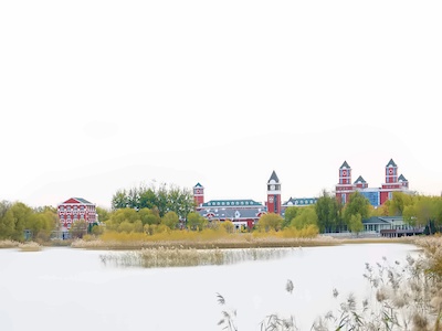 北京爱迪国际学校龙湖全景