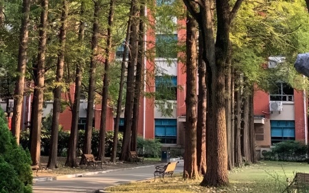 上应大学士桥3.jpg