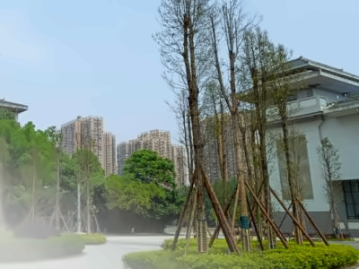石室北湖国际部AP课程校园环境