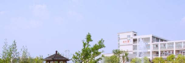 安徽国际商务职业学院2020年招生简章