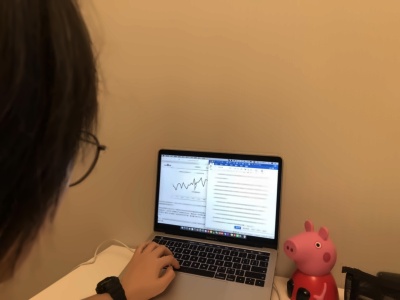 图为11DP学生搜索材料和撰写论文.jpg