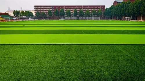 北京王府学校办学条件有什么优势？
