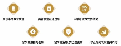 新虹桥中学中日班课程优势.jpg