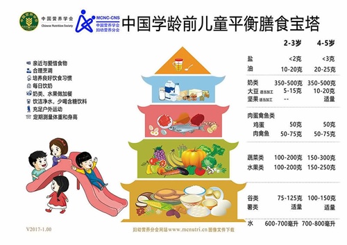 膳食宝塔