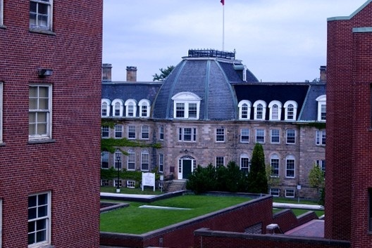 新布伦瑞克大学