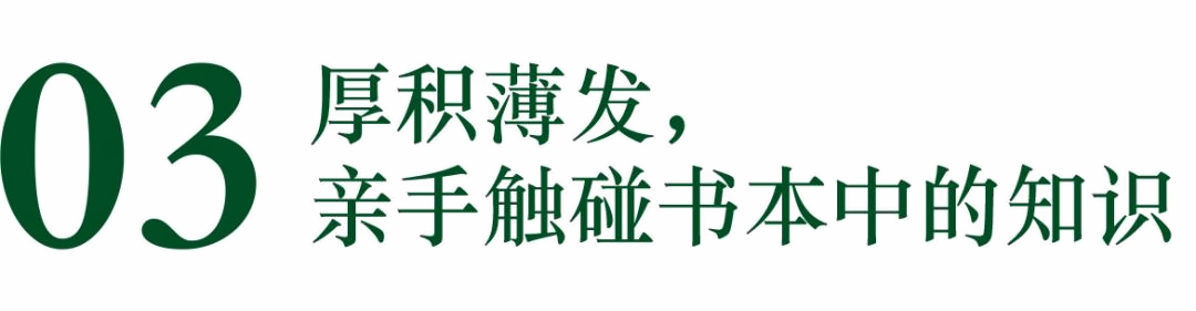 42fc5fbc8092a3cc58a91387595903ff_daebe6c5-05c0-474c-a087-8e8fb1af10e9.png