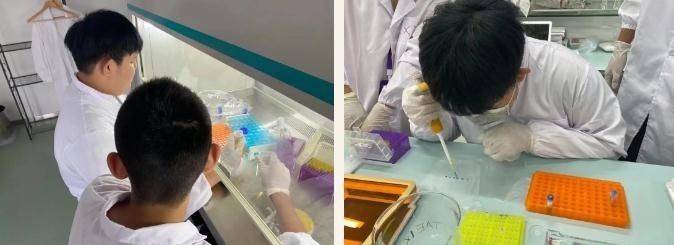 新东方国际双语学校