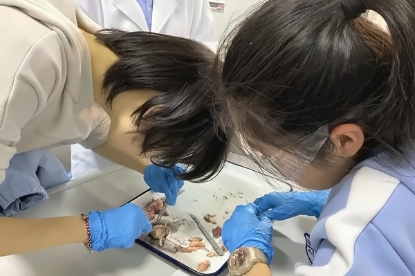 WLSA上海学校生化实验社牛眼解剖实验.jpg