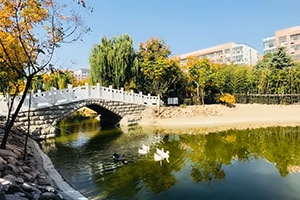 青岛通济实验学校国际部校园一角