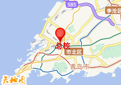 总校