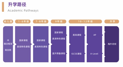 升学路径