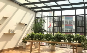 格鲁伯剑桥高中体制内初中课程
